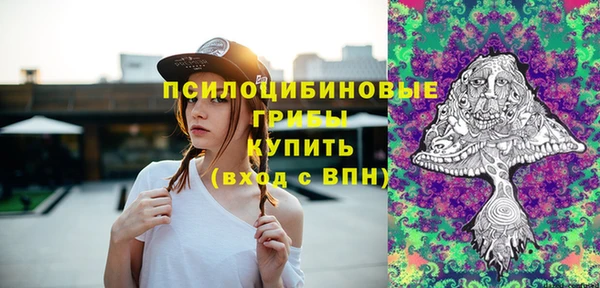 дурь Алексеевка