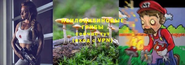 дурь Алексеевка