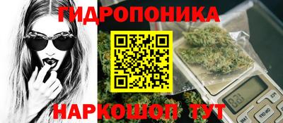 прущие грибы Железноводск