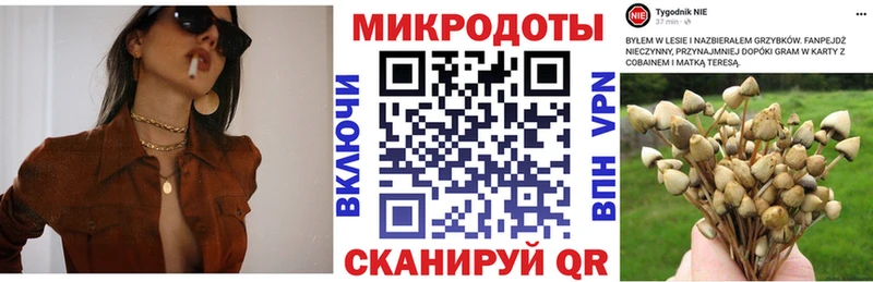 Галлюциногенные грибы прущие грибы  blacksprut ONION  Иркутск 